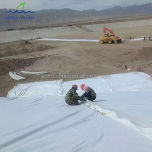 Géotextile Pp renforcé par géotextile non tissé de polyester <span class=keywords><strong>pour</strong></span> l'<span class=keywords><strong>allée</strong></span> de génie civil - Product Image 5