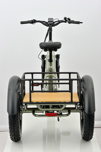 Eu Kho <span class=keywords><strong>Shimano</strong></span> <span class=keywords><strong>Nexus</strong></span> 7 Tốc Độ Giao Hàng Hàng Hóa Trike Cho Người Lớn 48V Tích Hợp Pin Lithium 250W Đĩa Động Cơ Xe Đạp Điện - Product Image 2