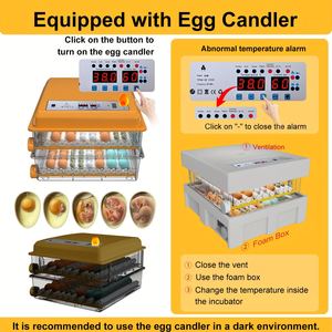 CE 인증 계란 인큐베이터-저소음 작동 및 계란 롤링 시스템을 갖춘 가정용 자동 가금류 부화기 - Product Image 4