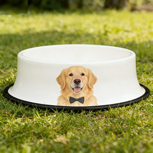 Orta Boy Köpek Mama Kabı Evcil Hayvan Mama Kapları Besleyiciler - Product Image 5