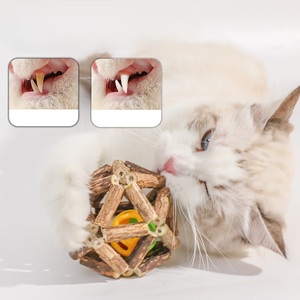 Orgánico Natural bajo MOQ gato masticar juguetes menta hierba gatera Silvervine Matatabi Limpieza de dientes aliviar <span class=keywords><strong>la</strong></span> <span class=keywords><strong>ansiedad</strong></span> gato juguetes interactivos - Product Image 1