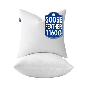 MIULEE moderne 22x22 oreillers en plumes <span class=keywords><strong>d</strong></span>'<span class=keywords><strong>oie</strong></span> 100% coton ensemble de couverture soutien du cou doux <span class=keywords><strong>moelleux</strong></span> inserts <span class=keywords><strong>d</strong></span>écoratifs canapé-lit salon - Product Image 1