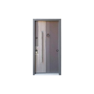 Porte d'entrée en acier SFA-036 sur mesure, anti-effraction, extérieure, ouverture manuelle plate, porte complète Yongkang - Product Image 5