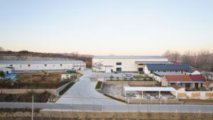 Trichoderma Longibrachiatum Pó Verde Escuro Imunidade Planta Enhancer & Prevenção De Doenças 1-30Billion UFC/g - Product Image 6