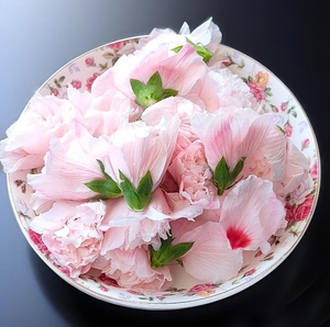 Poudre d'extrait d'hibiscus, poudre d'extrait de <span class=keywords><strong>fleur</strong></span> d'<span class=keywords><strong>althea</strong></span>, extrait de fleurs d'hibiscus certifié, durée de conservation de 24 mois - Product Image 3