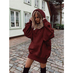 Sweat à <span class=keywords><strong>capuche</strong></span> à cordon de serrage pour femmes Logo personnalisé manches gauche <span class=keywords><strong>polaire</strong></span> respirant coupe-vent pull écologique pour l'hiver à <span class=keywords><strong>capuche</strong></span> - Product Image 5