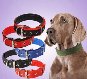 नरम चमड़े के अस्तर के साथ थोक ठोस कुत्ते कॉलर और रिबन नो-चोकिंग पॉलीप्रोपाइलीन फोम पालतू पट्टा - Product Image 2