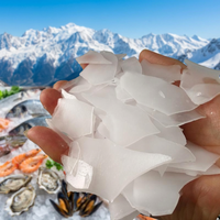 Máquina de Hielo en Escamas de Alta Tecnología a Gran Escala de 10-30 Toneladas para Mataderos/Fábricas de Pescado, Máquina para Hacer Hielo en Escamas