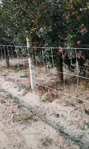 Clôture de ferme galvanisée à chaud pour chevaux, moutons et bovins, hauteur <span class=keywords><strong>1</strong></span>/<span class=keywords><strong>1</strong></span>,2/<span class=keywords><strong>1</strong></span>,5/<span class=keywords><strong>1</strong></span>,8 <span class=keywords><strong>m</strong></span>, fabriquée en Chine - Product Image 5