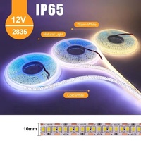 Bande lumineuse à LED DC12V/24V, IP20/IP65/IP67led pour carré, jardin, bar, parc, extérieur, éclairage intérieur, bande lumineuse 240LED/M