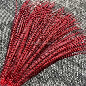100-110 cm Rouge Lady Amherst Faisan <span class=keywords><strong>Plume</strong></span> Plumes Teints pour Mariage Carnaval Danse Performance Costumes Vêtements Décoration - Product Image 2