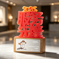 Trophée personnalisé en lettres 3D avec base en bois, plaque en aluminium gravée au laser, couleurs personnalisées pour les récompenses annuelles de l'entreprise