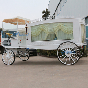 2026 Élégante Carrosse funéraire blanc à chevaux, modèle américain, dernière version, à vendre - Product Image 4