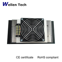 Dispositifs de refroidissement à l'air thermoélectriques WFF-202W-24V durables de silicium de refroidisseur de Peltier pour des modules de gaufrette de semi-conducteur