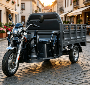 Triciclo Eléctrico de Carga Robusto con Configuración de Neumáticos de Alta Resistencia, Aprobado por la CEE, para Logística Agrícola <span class=keywords><strong>y</strong></span> Comercial - Product Image 2