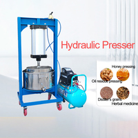 Druivenverwerkingsmachines-Automatische Druivenbreker En Juicer Persmachine Voor Commerciële Wijnmakerij, Roestvrij Staal