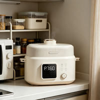 Cuisinière à pression électrique multifonctionnelle pour la maison, avec cuve intérieure en acier inoxydable, pour faire des soupes, du porridge et du riz, cuisinière à pression intelligente