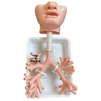 Modelo de Entrenamiento para Broncoscopia Oral, Modelo de Práctica para Broncoscopio