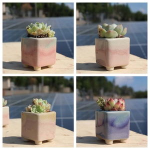 Ceramic Succulent Planter American Style Garden Flower <b>Pots</b> Unique Patterns Wholesale Products Planter <b>square</b> Drainage Hole - Product Image 3