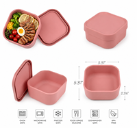 Boîte à bento en silicone de qualité alimentaire personnalisée en gros, boîte à lunch réutilisable pour tout-petits, adultes, enfants, bébés, boîte à bento en silicone avec couvercle