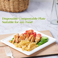 Assiettes en papier jetables carrées biodégradables en gros, couleur macaron, pour gâteaux et desserts, approvisionnement en vrac pour mariages et fêtes