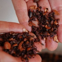 SENYO Petite machine décortiqueuse et éventreuse automatique pour graines de cacao, de café et de chanvre, composant moteur central en acier au carbone, 300-400 kg/h