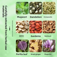 Patchs de Soulagement Nasal à l'Artemisia Chinoise pour Nez Sec et Bouché – 12 Patchs par Boîte – Vente en Gros pour Usage Domestique