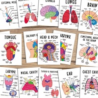 Cartes d'apprentissage sur l'anatomie humaine, personnalisables en plusieurs tailles, en matériau écologique