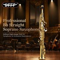 Super Factory OEM Wholesale Cheap Brass Bb Handmade Carving Soprano Saxophone Gold Lacquer Surface Straight