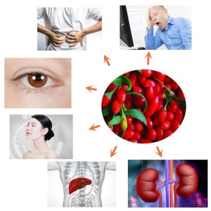 Capsules de baies de goji biologiques lyophilisées OEM, poudre de baies de goji, extrait de baies de goji - Product Image 2