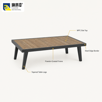 Table basse d'extérieur en WPC avec plateau à lattes et structure en acier galvanisé, table basse de patio, table de jardin, table de terrasse