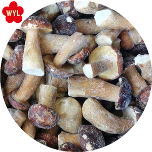SETA Porcini IQF, agujero, bolitus edolis, buen <span class=keywords><strong>precio</strong></span>, venta al por mayor - Product Image 2