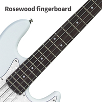 Professional 4-String Electric Bass Guitar with Canada Maple Wood and Poplar Wood Back/Side Wholesome Set with Competitive Price