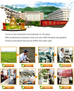Chunmee zayıflama YEŞİL ÇAY çin fabrika kilo kaybı 41022 kutu ambalaj vitaminleri kafeinsiz - Product Image 6