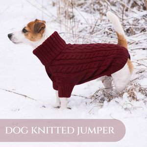 Pinuotu özel zarif klasik Bulldog polar köpek kazak orta sıcak kış termal balıkçı yaka örgü bordo kırmızı köpekler için - Product Image 6