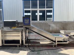 Linea Automatica per la Produzione di Larve di Mosca Soldato Nera (BSF) con Separazione, Essiccazione e Lavorazione Completa - Product Image 5