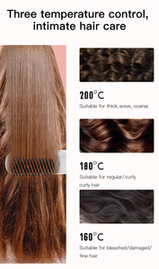 Hair <strong>Straightener</strong> Handheld Cordless <strong>Bear</strong> Hot Comb 3 Temp Settings Beard Styling Straightening Comb - Product Image 6