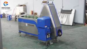 FC-XL-I FENGXIANG Máquina Cortadora de Brocoli, Procesamiento Continuo de 750-800 Unidades por Hora, Ahorro de Energía, Bajo Consumo - Product Image 6