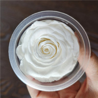 Roses éternelles de qualité supérieure, grade A, 5-6 cm, en coupelles, pour la fête des mères et la Saint-Valentin