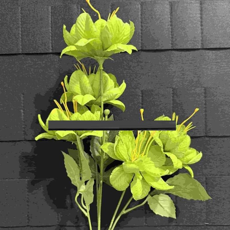 สีเขียว