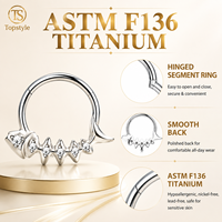 Anneau clicker segmenté en titane G23 avec logo personnalisé, motif dents de requin et zircon, pour piercing de septum et de nez (vente en gros)