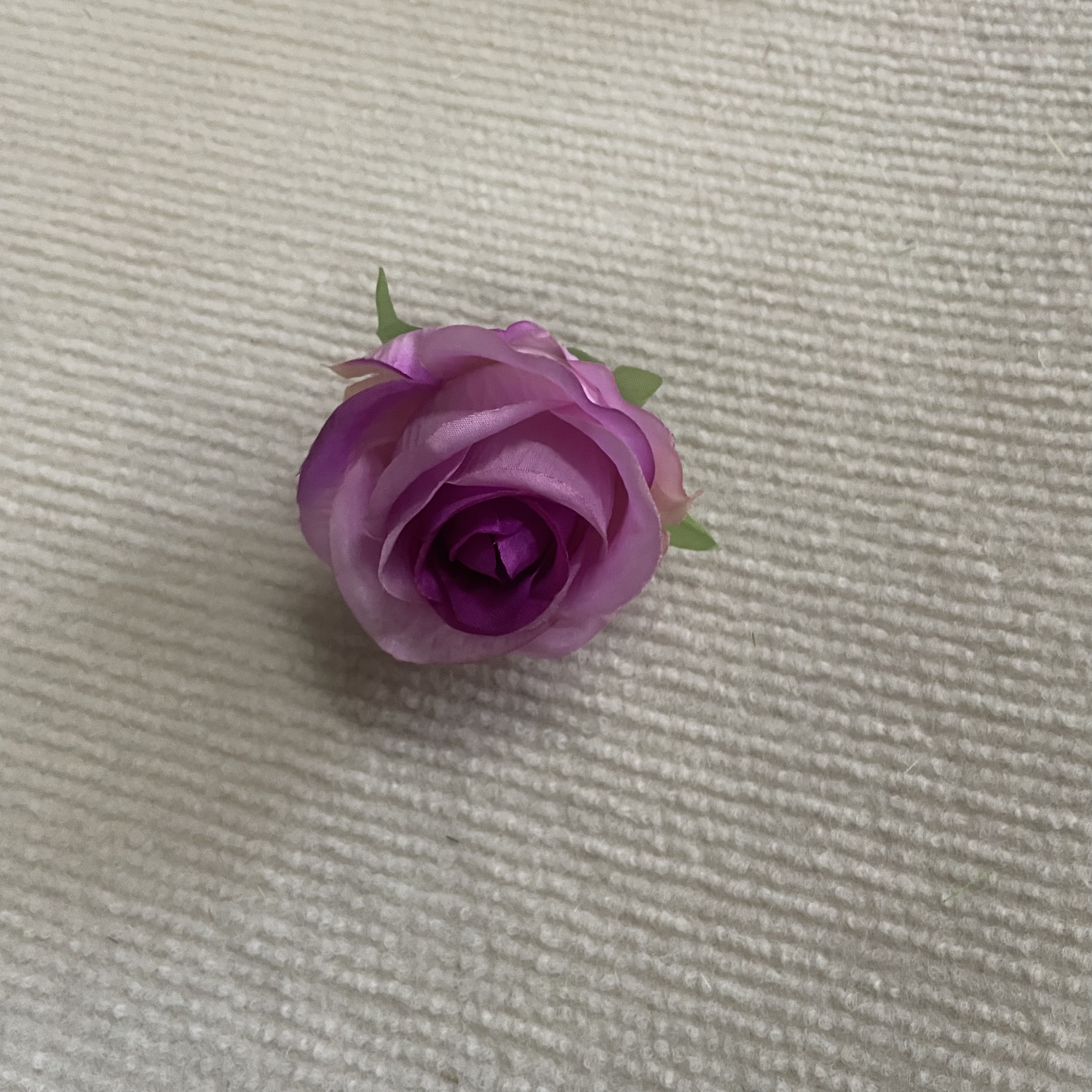 Pourpre