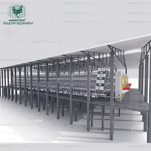 Hightop A Type 4 Tiers 10000 Birds Hens Poultry Farm Battery Layer Automatic Chicken Cage In Mali Ghana Angola