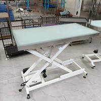 Table de toilettage électrique pour animaux de compagnie MT MEDICAL avec lumière LED, en acier inoxydable, étanche, pour hôpital vétérinaire, animalerie, grand chien