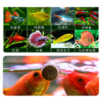 Patch d'alimentation pour petits poissons, pièces, flocons de flocons, lampe pour chiens et chats, aliments pour chiots, koi, poisson rouge, tortue