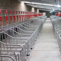 Cage de geste personnalisée pour cochon, équipement pour élevage de cochon, vente en gros