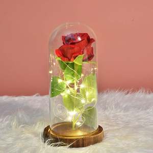 Rose éternelle artificielle lumière LED beauté la bête dans la couverture en verre décoration de noël pour la mère saint valentin cadeau de nouvel an - Product Image 2