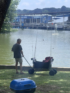 עגלת יד מתקפלת עם ארבעה גלגלים ומסגרת מוט/שמשייה, ניתנת להתאמה אישית (OEM), עמידה, מתאימה לחוף, אופניים, דיג, קמפינג וקניות. - Product Image 4