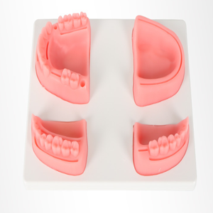 Ciencia Médica Quirúrgica, modelos de entrenamiento bucal Dental, almohadilla para la piel de los dientes dentales, almohadilla de sutura dental - Product Image 3