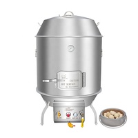 Four vertical commercial à gaz en acier inoxydable pour rôtir porc, canard, poulet, avec pierre de lave, équipement de barbecue